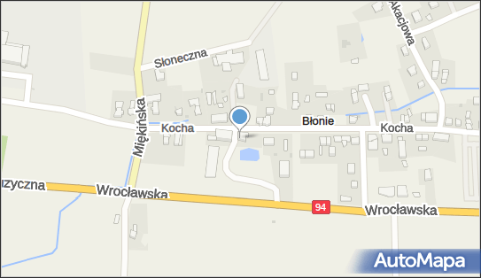WIKI, ul. Roberta Kocha 24, Błonie 55-330 - Przedsiębiorstwo, Firma, NIP: 9131615675