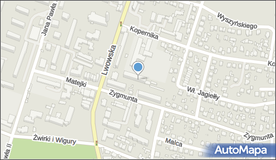 Wiktoria Grochowicz - Działalność Gospodarcza, Tomaszów Lubelski 22-600 - Przedsiębiorstwo, Firma, NIP: 9211338077