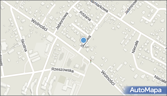 Wilczyński Mirosław Pio-Alex Przedsiębiorstwo Usługowo Handlowo Produkcyjne 42-500 - Przedsiębiorstwo, Firma, NIP: 6250003511