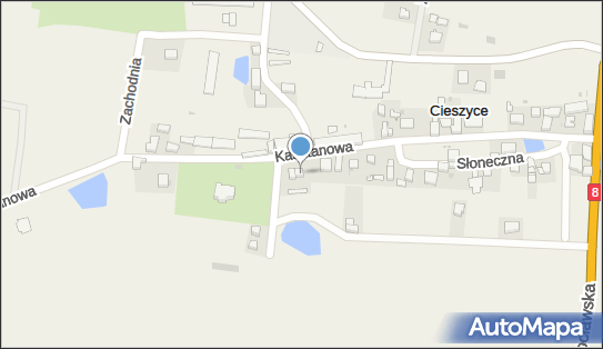 8961024187, Usługi Transportowe Tomasz Wilk 