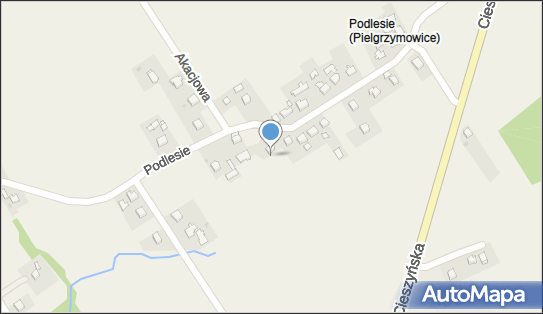 Wioleta Kacsó, ul. Podlesie 24, Pielgrzymowice 43-252 - Przedsiębiorstwo, Firma, NIP: 6381565913