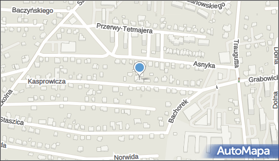 Witas-Walczak Izabela Igmar, ul. Jana Kasprowicza 23 43-502 - Przedsiębiorstwo, Firma, NIP: 6520011409