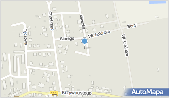 Witkowski Grzegorz, ul. Mieszka I BN, Stepnica 72-112 - Przedsiębiorstwo, Firma, NIP: 8561003075