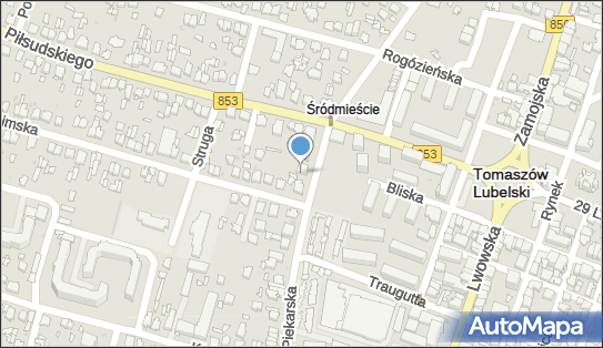 Witold Kostrubiec - Działalność Gospodarcza, ul. Piekarska 16 22-600 - Przedsiębiorstwo, Firma, NIP: 9211252387