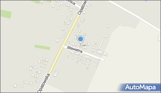 Witold Kwiecień F.P.H.U.Witex, Bławatna 9 27-400 - Przedsiębiorstwo, Firma, NIP: 6611662041