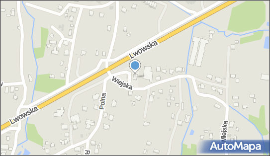 Witold Lechański Auto- Wit, Wiejska 1g, Dębica 39-200 - Przedsiębiorstwo, Firma, NIP: 8721711273