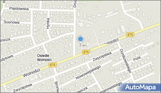 Witold Mądry, Wolności 73, Mielec 39-300 - Przedsiębiorstwo, Firma, NIP: 8171073553