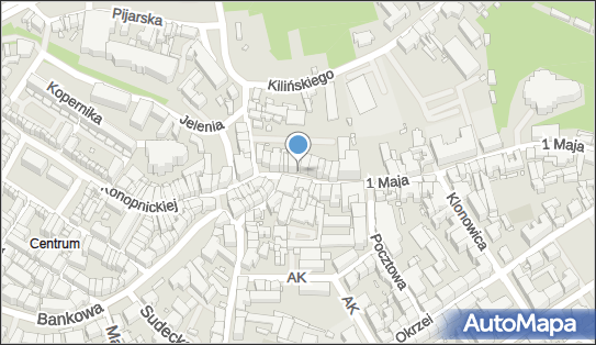 Witold Mazurkiewicz, ul. 1 Maja 15/17, Jelenia Góra 58-500 - Przedsiębiorstwo, Firma, NIP: 6111024509