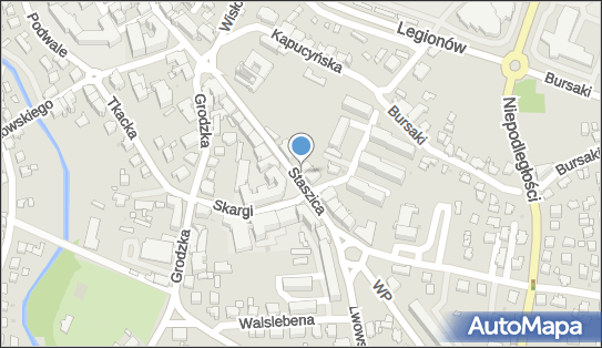 6841546700, Witold Skiba Zakład Leczenia Chorób Narządu Ruchu 