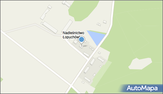 Witpol, Łopuchówko 3, Łopuchówko 62-095 - Przedsiębiorstwo, Firma, NIP: 7771125507