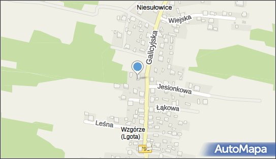 Władysław Kasprzyk - Działalność Gospodarcza, Niesułowice 85 32-300 - Przedsiębiorstwo, Firma, NIP: 6371573851