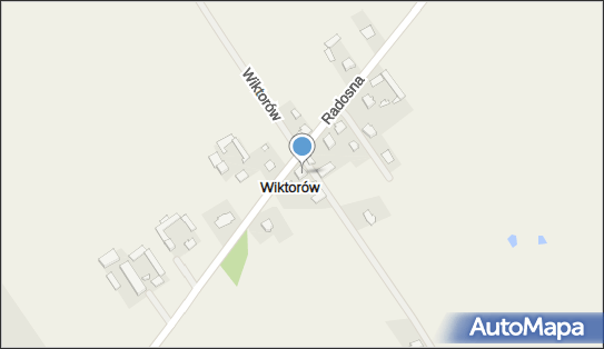 Władysław Niegowski - Działalność Gospodarcza, Radosna 20 05-250 - Przedsiębiorstwo, Firma, NIP: 1250628711