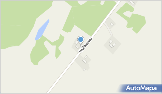 811999160, Władysław Paszkiewicz 