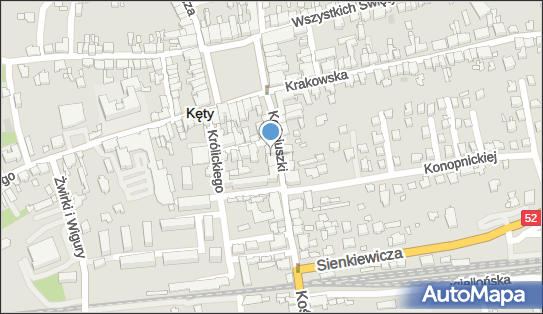 Władysława Polak, ul. Tadeusza Kościuszki 4, Kęty 32-650 - Przedsiębiorstwo, Firma, NIP: 5511913141