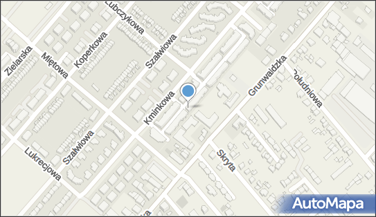 Wog Trans, ul. Kminkowa 162F, Plewiska 62-064 - Przedsiębiorstwo, Firma, NIP: 7821289867