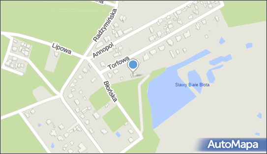 1250063717, Wojciech Kaczyński 