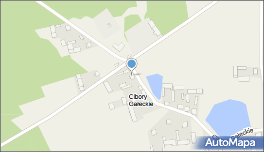 7231425217, Wojciech Kulesza 