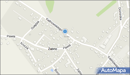 Wojciech Turzyński, Kalinowskiego Franciszka, ks. 31 83-200 - Przedsiębiorstwo, Firma, NIP: 5921810819