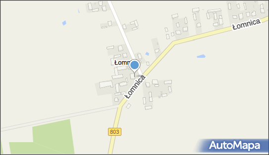 Wojewódzki Mariusz, Łomnica 7, Łomnica 08-117 - Przedsiębiorstwo, Firma, NIP: 8212187378