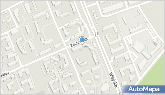 Wojtkowski Krzysztof Urządzanie i Wycena Lasu Białystok 15-352 - Przedsiębiorstwo, Firma, NIP: 5421946390