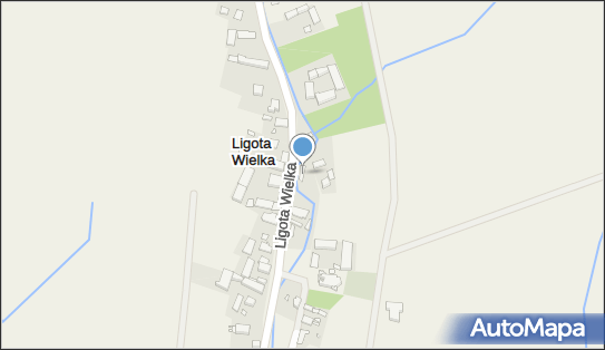 World Cars Joanna Kochanek, Ligota Wielka 48, Ligota Wielka 48-385 - Przedsiębiorstwo, Firma, NIP: 7542758300