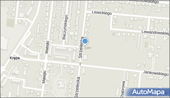 WRAP-CAR Ostrów Wlkp, Strzelecka 29, Ostrów Wielkopolski 63-400 - Przedsiębiorstwo, Firma, numer telefonu