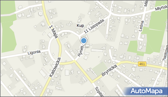 9910232864, Wspólnota Mieszkaniowa ul.Józefa Pankiewicza 9 45-920 Opole 