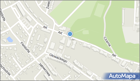 Wspólnota Mieszkaniowa w Bojanicach nr 17, ul. Armii Krajowej 29 58-100 - Przedsiębiorstwo, Firma, numer telefonu, NIP: 8842545017