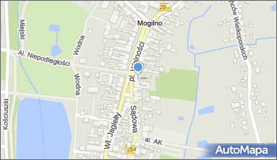 Wykończenie wnętrz Sebastian Aleksandrowicz, Plac Wolności 21/3 88-300 - Przedsiębiorstwo, Firma, numer telefonu