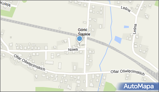 Wyrób i Sprzedaż Wieńców i Kwiatów - Czesław Błażyczek 47-440 - Przedsiębiorstwo, Firma, NIP: 6391048409