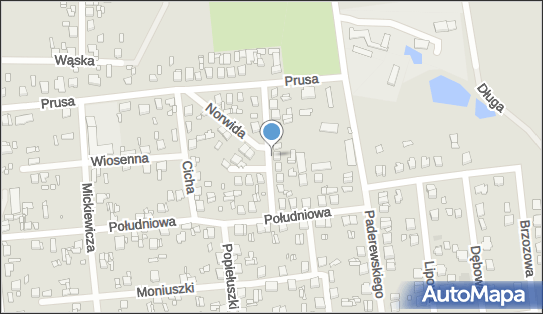 Your Trainer, ul. Władysława Broniewskiego 7, Krośniewice 99-340 - Przedsiębiorstwo, Firma, NIP: 7752559831