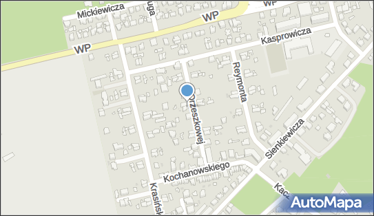 z.P.H.U Dom, ul. Orzeszkowej 7, Nowa Sól 67-100 - Przedsiębiorstwo, Firma, NIP: 9251253080