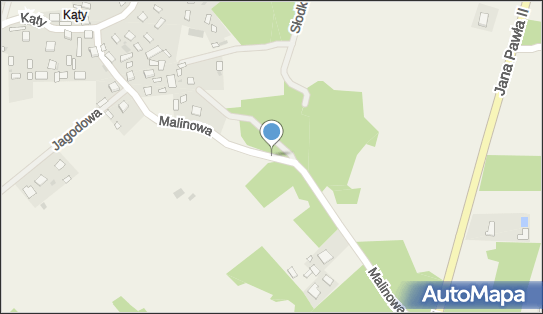 8651161760, Zakład Usług Leśnych Janusz Żak 