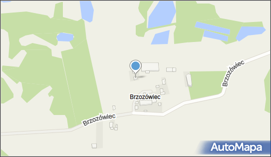Zakład Betoniarski Brillowski Tadeusz, Brzozówiec 10, Brzozówiec 62-240 - Przedsiębiorstwo, Firma, NIP: 5570007295