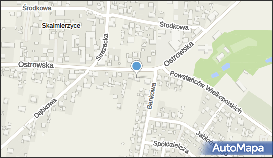 6180049010, Zakład Handlowo-Usługowy, Handel Detal.Art.Przem.i Usł.Mal.-A.i A.Dolata 