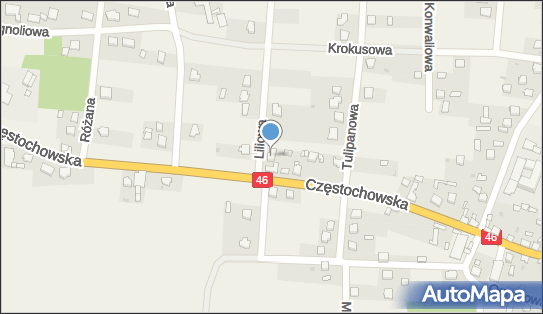 Zakład Handlowo-Usługowy Henryk Zasuń, Częstochowska 33a, Janów 42-253 - Przedsiębiorstwo, Firma, NIP: 5730204798