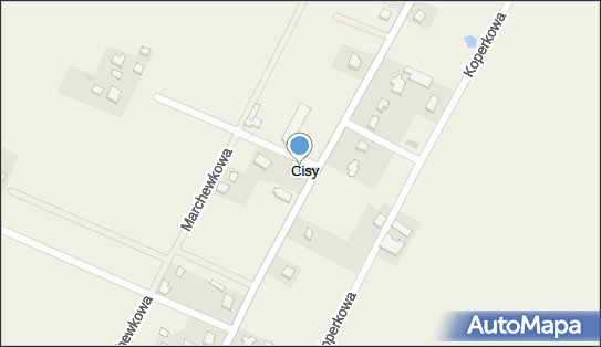 5791000021, Zakład Handlowo-Usługowy Skibicki Zdzisław 