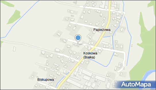 Zakład Instalatorstwa Wod Kan C O Gaz Ślusarstwo Usługowe 34-220 - Przedsiębiorstwo, Firma, numer telefonu, NIP: 5521028021