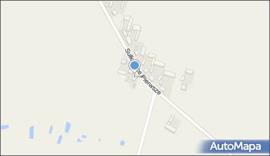 Zakład Malarski, Sułkowice Pierwsze 17B, Sułkowice Pierwsze 99-120 - Przedsiębiorstwo, Firma, NIP: 7752005400