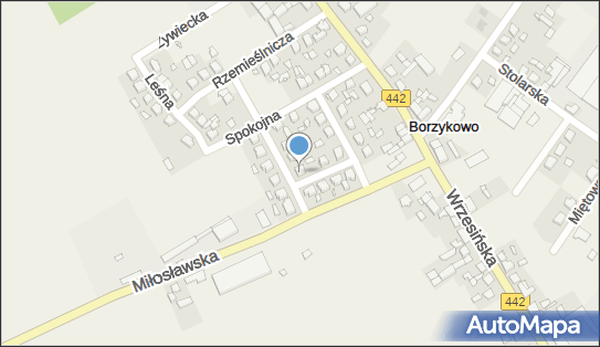 Zakład Malarsko Tapeciarski, ul. Szkolna 9, Borzykowo 62-306 - Przedsiębiorstwo, Firma, NIP: 7891116497