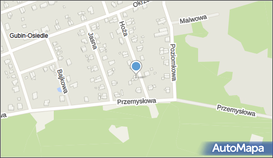 Zakład Mechaniki Pojazdowej, Hoża 24, Gubin 66-620 - Przedsiębiorstwo, Firma, NIP: 9261012828