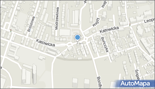 Zakład Optyczny Jerzy Poloczek, ul. Katowicka 17, Katowice 40-173 - Przedsiębiorstwo, Firma, NIP: 9541018418