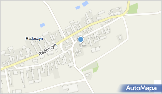 Zakład Pogrzebowy, Radoszyn 52, Radoszyn 66-213 - Przedsiębiorstwo, Firma, NIP: 9271037528