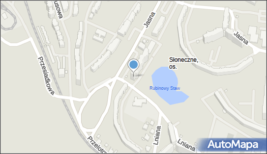 Zakład Poligraficzny Ryst Dariusz Dominik, Jasna 109, Szczecin 70-777 - Przedsiębiorstwo, Firma, NIP: 1131360099