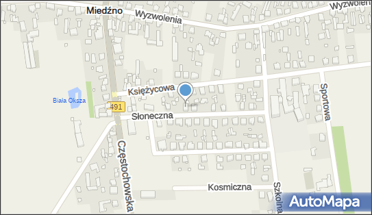 Zakład Produkcyjno-Handlowo-Usługowy Drew-POLGrażyna August 42-165 - Przedsiębiorstwo, Firma, NIP: 5741545474