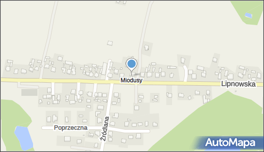 910321369, Zakład Produkcyjno Handlowo Usługowy - Grzegorz Złakowski 