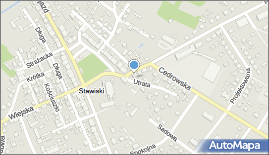 7181058661, Zakład RTV Usługi Dla Ludności-Mieczysław Rydzewski 