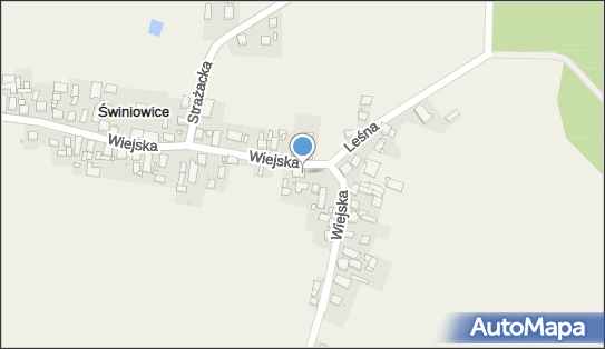 Zakład Stolarski Usługowo Produkcyjno Handlowy, Wiejska 19 42-690 - Przedsiębiorstwo, Firma, NIP: 6451070980