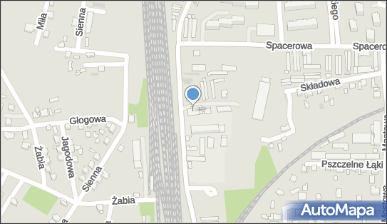 Zakład Surowców Wtórnych Iron Agnieszka Nowak, Grunwaldzka 15 42-400 - Przedsiębiorstwo, Firma, NIP: 5730116812