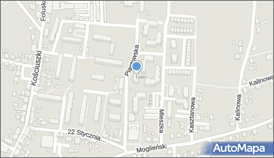 Zakład Usług Kominiarskich, Piastowska 6, Trzemeszno 62-240 - Przedsiębiorstwo, Firma, NIP: 5621091616